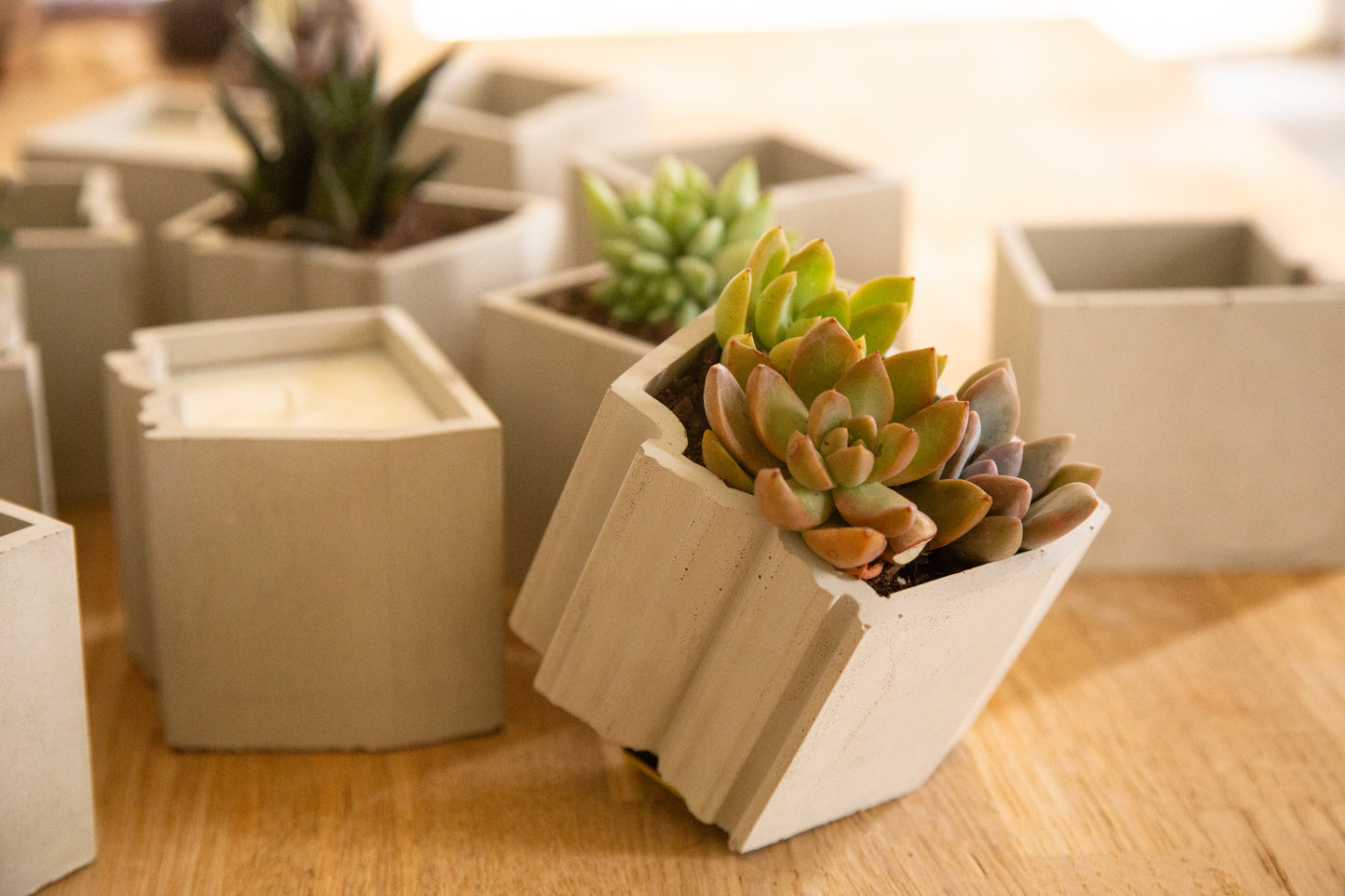 Arizona Concrete Planter | Candle Holder | Vessel
