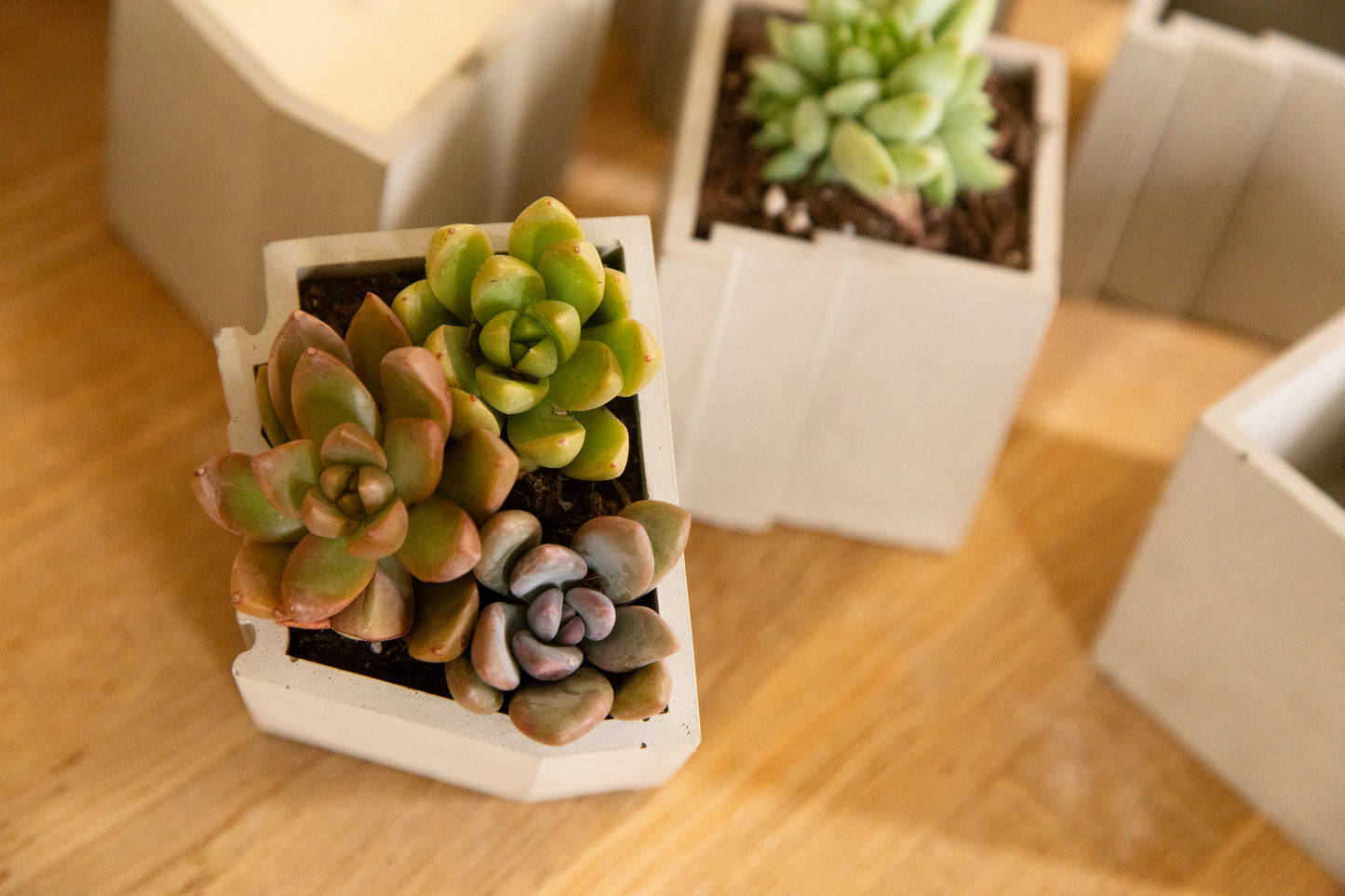 Arizona Concrete Planter | Candle Holder | Vessel